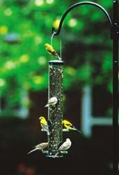 Quick-Clean Seed Tube Feeder