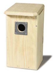 Flicker Nesting Box