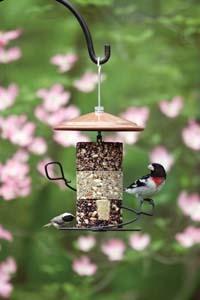 Grosbeak & Chickadee on stackables