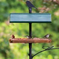 Jim's Birdacious Treat Tray with Accessories