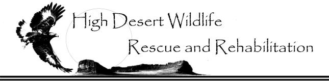 HDW Rescue and Rehab logo HDW Rescue and Rehab logo