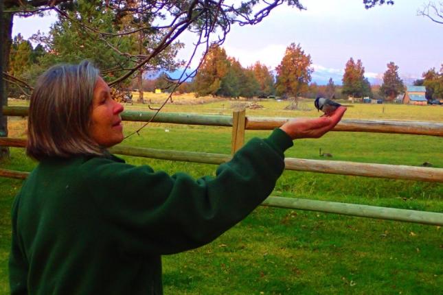 Carol handfeeding Chickadee