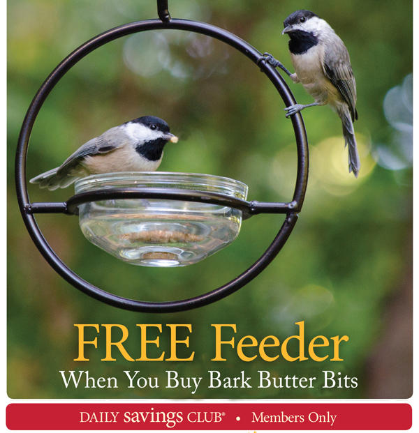Bark Butter Bits Feeder special