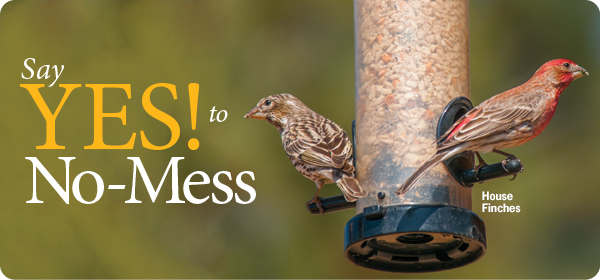 wild birds unlimited bird seed sale