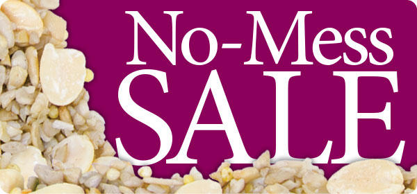 No Mess sale Banner